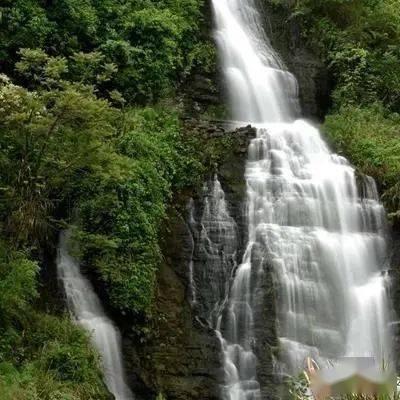 本宫来自古代